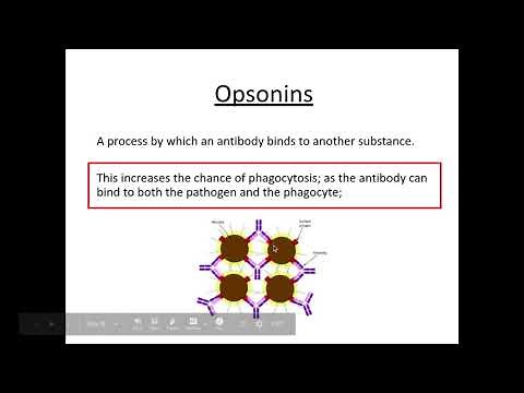 4 1 1 Communiable diseases h) The structure and function of antibodies i) Action of opsonins...