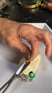 This Python egg is not responding. Let's figure out what happened!