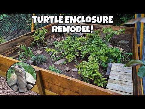 Setting Up My NEW Box Turtle Enclosure!