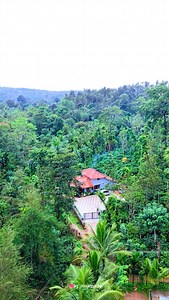 170K views · 14K reactions | ಹೇಗಿದೆ ಈ ಹೂದೋಟ..? #kannada #trending #garden #gardening #home #homedesign #karnaraka #instagram | SG ಮಲೆನಾಡು | Facebook