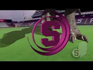 Deportivo Saprissa...el monstruo