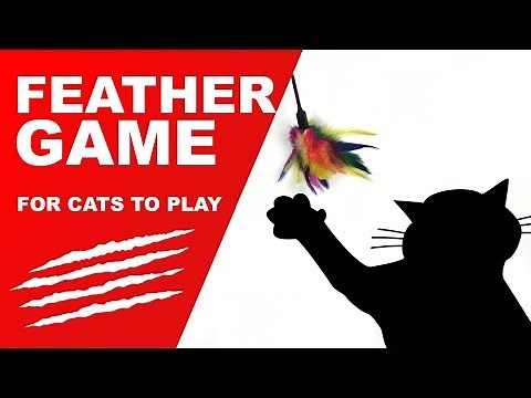 Cat Games - Feather!