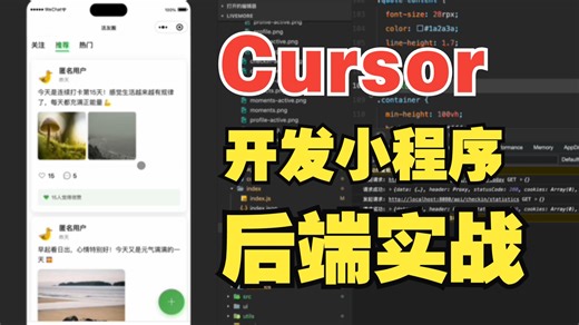 Cursor   Claude4.5 开发JAVA后端项目，真的太丝滑了。Springboot   mongodb   docker 快到飞起