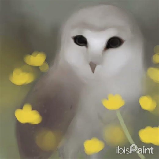 🦉🪽🤍| Speed paint | Old drawing part 9 #Speedpaint #drawing