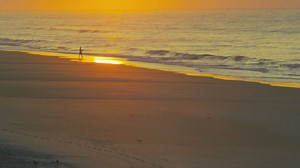 If you're already dreaming of spring then it's time to find the perfect beach rental for a unforgettable getaway! Explore the endless options available here: https://eirealty.social/fullpropertylist | Emerald Isle Realty, Inc.