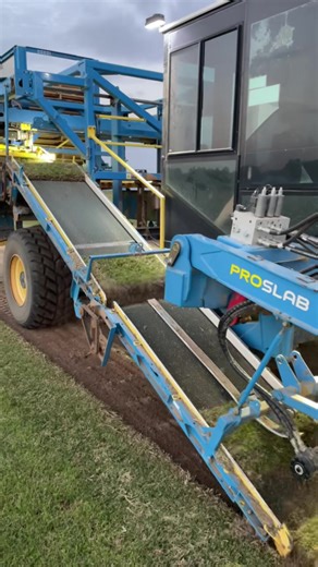 Fresh Bermuda Sod Cutting and Hauling