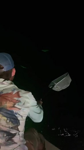 46K views · 279 reactions | Check out this ballyhoo I caught offshore in a net! #bait #worldoceansday #catch #ballyhoo #new #trending #makeup #happy #model #repost #art #photography #instagram #beautiful #handmade #life #friends #instadaily #beauty #travel #explorepage #reelsinstagram #nature #fun #motivation #cute #style #photooftheday #photo #foryou #explore #smile #design #fashion #food #family #Tiktok #summer #girls #follow | Today Fishing | Facebook