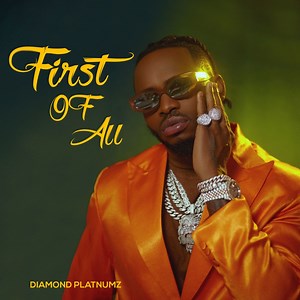 Somebody - Diamond Platnumz: Song Lyrics, Music Videos & Concerts