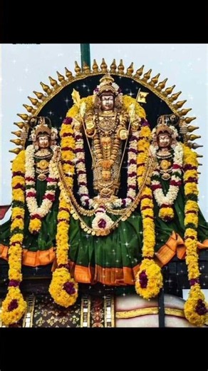 "ஓம் சரவணபவா" என மனமுருகி ஜபித்து முருகனின் அருளைப் பெறுவோம்.