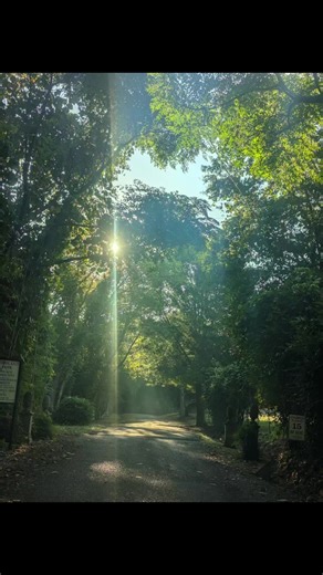 Versa Tile Flooring on TikTok