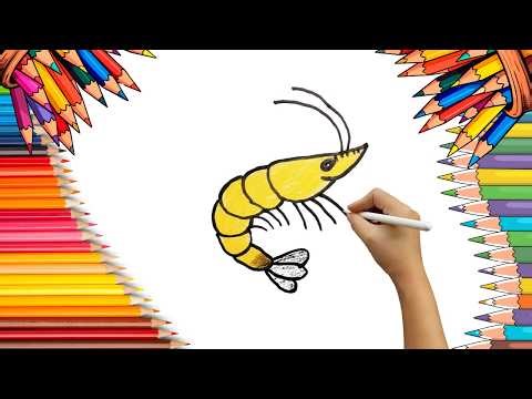 How To Draw cute shrimp Drawing, Painting & Coloring For Kids and Toddlers_ Child Art 🐋🌈🎨