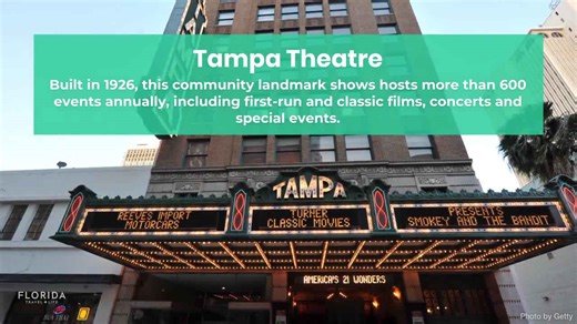5 Fun Things to do in Tampa