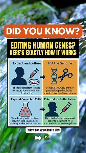 🧬 How Gene Editing Really Works