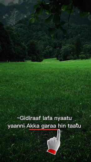 68K views · 4.6K reactions | Wada Getachew on Reels | Facebook