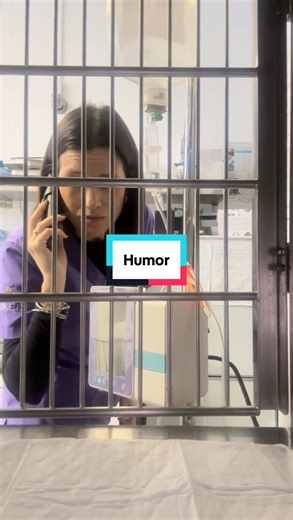 Recogiendo a tu perro después de la cirugía