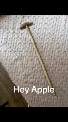 The Disturbing Long Stick Incident Explained