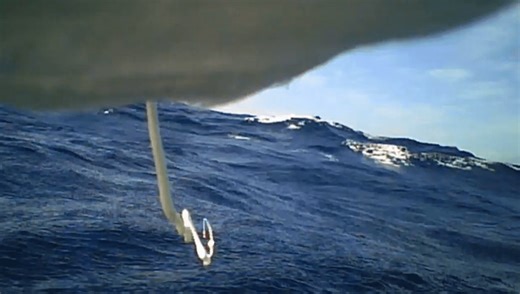 POV: You Strapped A Camera To A Seabird’s Butt And Discovered They Prefer To Poop While Flying