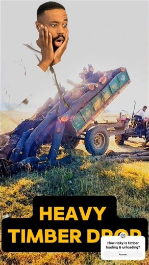 Loading and Unloading Heavy Timber with Tractor | Powerful Forest & Logging Work