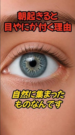 朝起きると目やにが付く理由 #shorts #雑学 #人体雑学