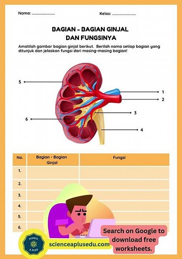 Science website science worksheets download
