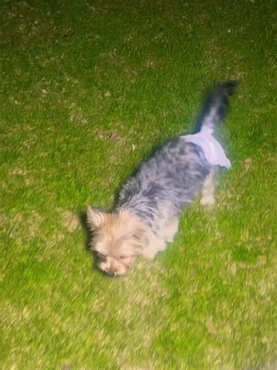 ELLA SOLO PENSÓ EN AYUDAR cute #familiaibañez #com#fypシviral #humor | Humor Funny Video