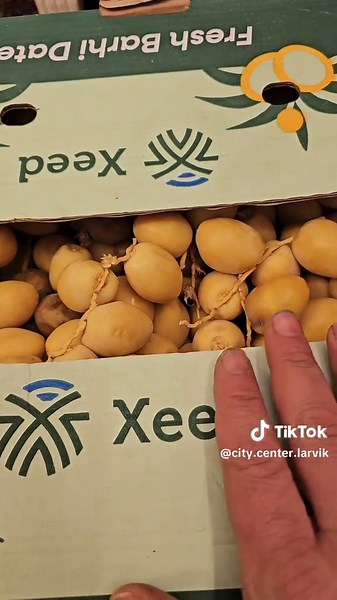 Exploring Larvik's City Center in Norway