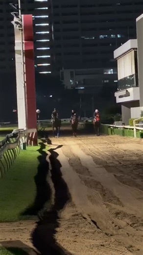 8.2K views · 220 reactions | “Full House” First time to RBSC #PhayaThaiStable | Petch Nuea Stable | Facebook