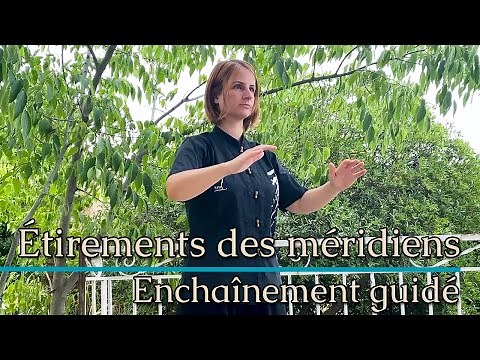 Qi Gong, Meridian Stretches: The guided sequence of the 12 meridians
