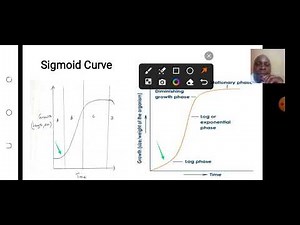 LESSON2 GROWTH PATTERNS AND SIGMOID CURVE