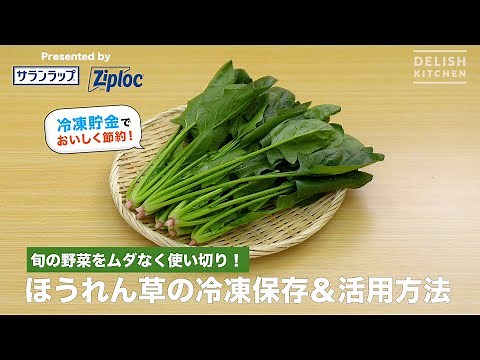 旬の野菜をムダなく使い切り！ほうれん草の冷凍保存＆活用方法
