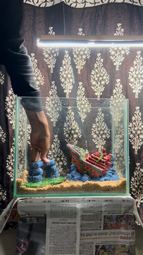 The aqua valute 🇮🇳 on Instagram: "Tank setup for my new aliens👽 Hey there👋, Clown mudskipper are available now with @the_aqua_valute super active super playful, dm for orders few pices are there! Pan India delivery possible🇮🇳 Thanks for watching ! Happy fish keeping! #Mudskipper #MudskipperAquarium #BrackishTank #BrackishWater #FiddlerCrab #AquariumHobby #FishTank #Aquascaping #Paludarium #AmphibiousFish #FishKeeping #SaltwaterTank #MangroveTank #E