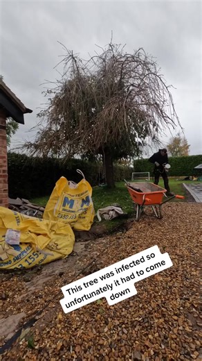 Mark Marshall on TikTok