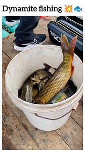152K views · 1K reactions | Dynamite fishing  watch till the end  | Rohan | Facebook