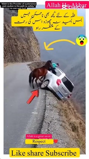 Allah is Great ☝️😇 Respect 😍 #shorts #viral #trending #status #like #fyp #motivation