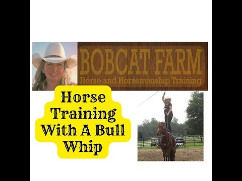 Horse Training With A Bull Whip