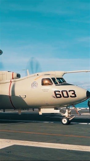 108K views · 6.4K reactions | ✈️ Here is a recap of Neptune Strike 25-3, seen from the air  10,000 aviators, sailors and soldiers from 13 Allies operated together in the large multi-domain enhanced Vigilance Activity. Air assets from carriers and air bases coordinated with naval and ground forces, demonstrating seamless interoperability across domains. | NATO Allied Air Command | Facebook