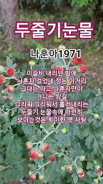 두줄기 눈물 #나훈아#트로트#1971나훈아ㆍ최고히트인기애창곡