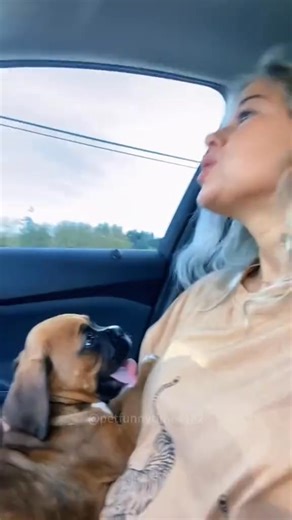 Teaching a puppy how to howl #cute #puppy #howl #dogsoftiktok #puppydog #lovedogs | petfunnytime4182
