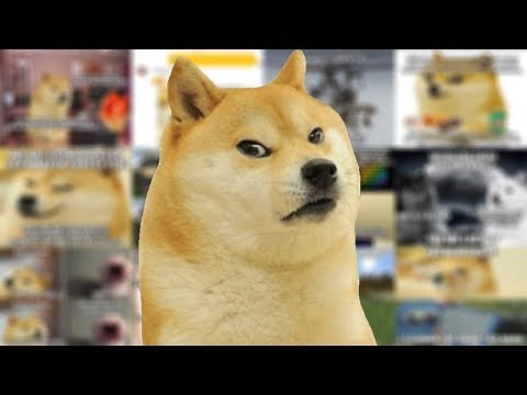 Doge Discovers Doge Lore