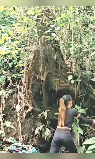 Solo girl survival in big forest #camping #shelter #forest #survival #outdoors | Life Survival