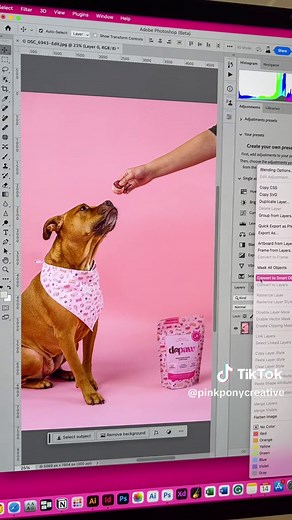 Mask All Objects in Photos Quickly with Photoshop