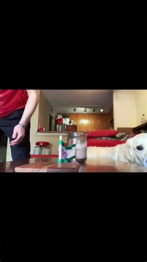 What y’all know about mini ping pong?