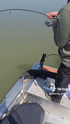 The Biggest Fish Ever Landed on My Boat