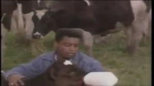 Watch Reading Rainbow Season 2 Episode 14 - The Milk Makers