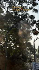 106K views · 28K reactions | The Mist Garden Eco Parklocated in...