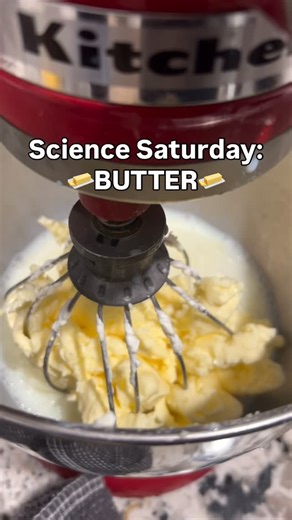 Jen Johnson on Instagram: "🧈 Science Saturday: Butter! What’s one thing that turns into two when you mix it? Heavy whipping cream! After blending heavy whipping cream for about 12 minutes, we ended up with homemade butter and buttermilk. The science behind it is simple and fascinating: whipping breaks the fat membranes in the cream, causing the fat molecules to clump together into solid butter, while the leftover liquid becomes buttermilk. We’re making buttermilk pancakes and using Waletzko Map