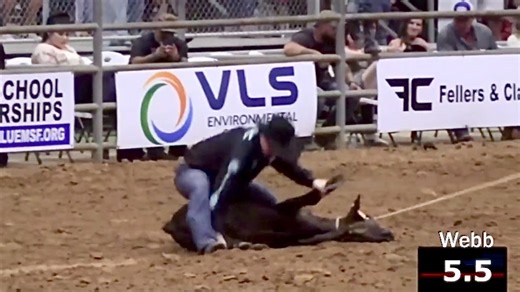 Riley Webb, 6.8 seconds at the Waller County Fair & Rodeo in Hempstead, Texas! #WeArePRORODEO | PRCA ProRodeo