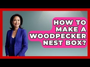 How To Make A Woodpecker Nest Box? - Bird Watching Diaries