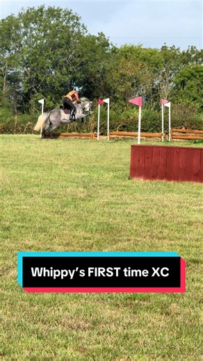 Whippy’s First Time XC: Horse Jumping Cross-Country Highlights