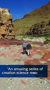 29 reactions | Is Genesis History on Reels | Facebook